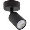 Šviestuvas lubų ir sienų TK Lighting Top 5739, GU10, 1 x 10 W