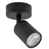 Šviestuvas lubų ir sienų TK Lighting Top 5739, GU10, 1 x 10 W