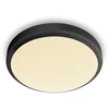 Šviestuvas lubų Philips Doris 929002665101, LED, 2700 °K, 1 x 17 W