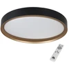 Lubinis šviestuvas Trio ZETA LED CEILING LAMP Juodas/GOLD