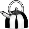 Domoletti Virdulys 2,5 l, nerūdijančio plieno, CWT017A