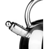 Domoletti Virdulys 2,5 l, nerūdijančio plieno, CWT017A