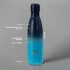 Termo gertuvė Domoletti, mėlyna, 0.5 l