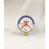 Termomanometras Watts 10018749, 80 mm, 6 barai