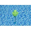 Plūdrusis termometras Cactus Bestway