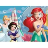 Trefl Dėlionė 30 vnt. - Disney Princesės