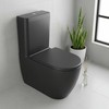 Masterjero Rinkinys kompaktowy WC Domoletti TOILET ARC WITH TANK Juodas Matinis