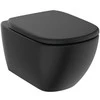 Ideal_Standa Unitazas, pakab Ideal Standard Tesi, su dangč, 365×533 mm