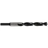 Forte_Tools Medienos grąžtas Forte Tools, 3x60 mm