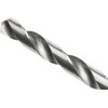 Forte_Tools Metalo grąžtas Forte Tools, 13x151 mm