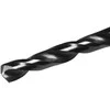 Metalo grąžtas HSS HAUSHALT, 6×101 mm