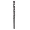 Metalo grąžtas HSS HAUSHALT, 4,5×80 mm