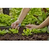 Antgalis Gardena mikrolašelinė sistema mažam plotui, 10 vnt.