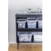 Daiktadėžė OKKO BASIC BOX, 1,7 l, skaidri, 17×20,5×7,5 cm