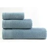 Rankšluostis Domoletti TOWEL DORINDA 500 GSM 30X50 WATER Mėlynas