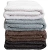 Rankšluostis Domoletti TOWEL TERRY 741 LIGHT Pilkas 70X140