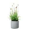 Scheurich Lumarko FLOWERPOT PLASTIC 130/50 STONY Pilkas D50