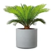 Scheurich Lumarko FLOWERPOT PLASTIC 130/50 STONY Pilkas D50
