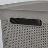 rotho Skalbinių dėžė BRISEN, 50 l, kapučino spalvos