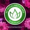 Skalbinių minkštiklis Lenor Figs &amp; Lotus water, 1.2 l