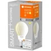 Ledvance 11W LED lemputė SMART+ Filament Classic Dimmable 100, E27, 2700K
