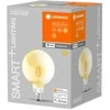 Ledvance 6W LED lemputė SMART+ Filament Globe Dimmable 53, E27, 2400K