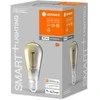 Ledvance 6W LED lemputė SMART+ Filament Edison Dimmable 44, E27, 2500K
