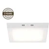 Domoletti LED PANEL DLED-44 24W 4000K S