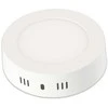 Domoletti LED PANEL DLED-43 12W 3000K R