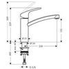 Virtuvinis maišytuvas Hansgrohe Focus 31806800, nerūdijančio plieno spalvos.