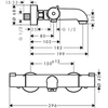 Termostatinis vonios maišytuvas Hansgrohe Ecostat 1001 CL