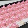 White shark Baltas Shark Baltas Shark Roserift Mechaninė Switches 25 pcs.