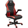 Žaidimų kėdė White Shark Dervish Gaming Chair, Juoda-raudona