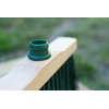 York Lauko šepetys Laura Medinis