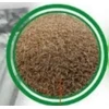 Vejų sėklos DLF Sun, 20 kg
