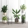 Domoletti FLOWER POT STAND LIZIO L Juodas 27X60