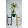 Domoletti FLOWER POT STAND LIZIO L Juodas 27X60