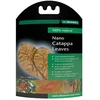Dennerle Nano Catappa lapai, 12vnt