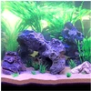 HOBBY Akvariumo dekoracija „Cavity Stone“ tamsi