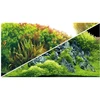 HOBBY akvariumo fonas „Planted River“