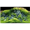 HOBBY akvariumo fonas „Planted River“