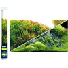 HOBBY Akvariumo fonas „Žalias upelis“ 60 × 30