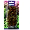 HOBBY Dirbtinė akvariumo augalų dekoracija „Rotala“