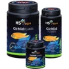 HS AQUA CICHLID FLAKES žuvų maistas, 400 ml