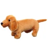Lean Toys Pliušinis žaislas taksas 25cm