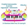Ramiz Elektroninė 2 oktavų klaviatūra vaikams