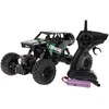 Ramiz Valdomas Crawler 1:16 visureigis
