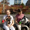 Skippi Minkšti žaisliniai daržovės ir vaisiai hobio žirgui, vaikams nuo 3 metų