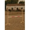 Super Hobby Horse Šokinėjimo kliūtis hobby horse su rožine kartimi 120 cm