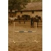 Super Hobby Horse Šuolių kliūtis hobby horse su mėlyna sija 120 cm